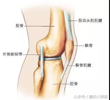 全方位解析,美国专业医生告诉你:膝关节损伤如何识别及自我治疗