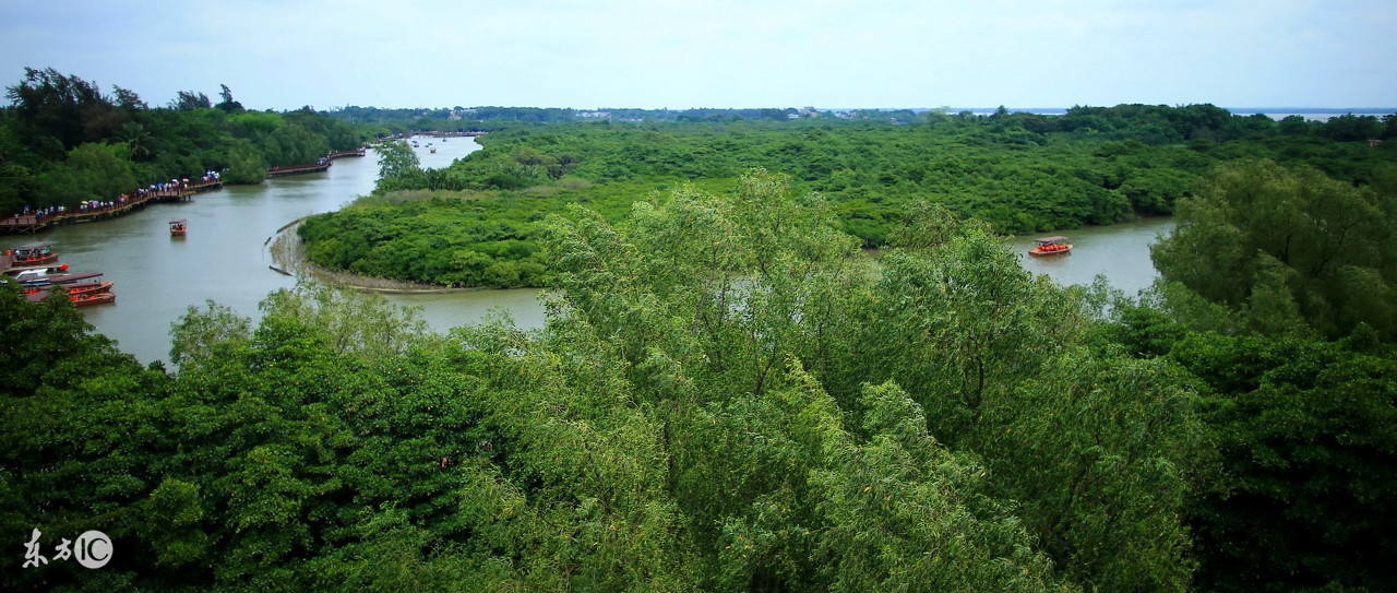 再过几年浪迹天涯,浪迹天涯一年