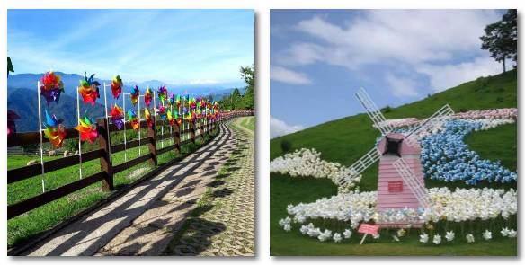 热气球南海桂城,佛山足球主题农庄