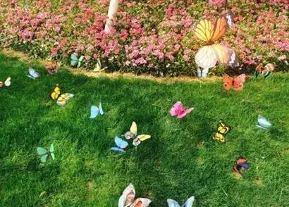 热气球南海桂城,佛山足球主题农庄