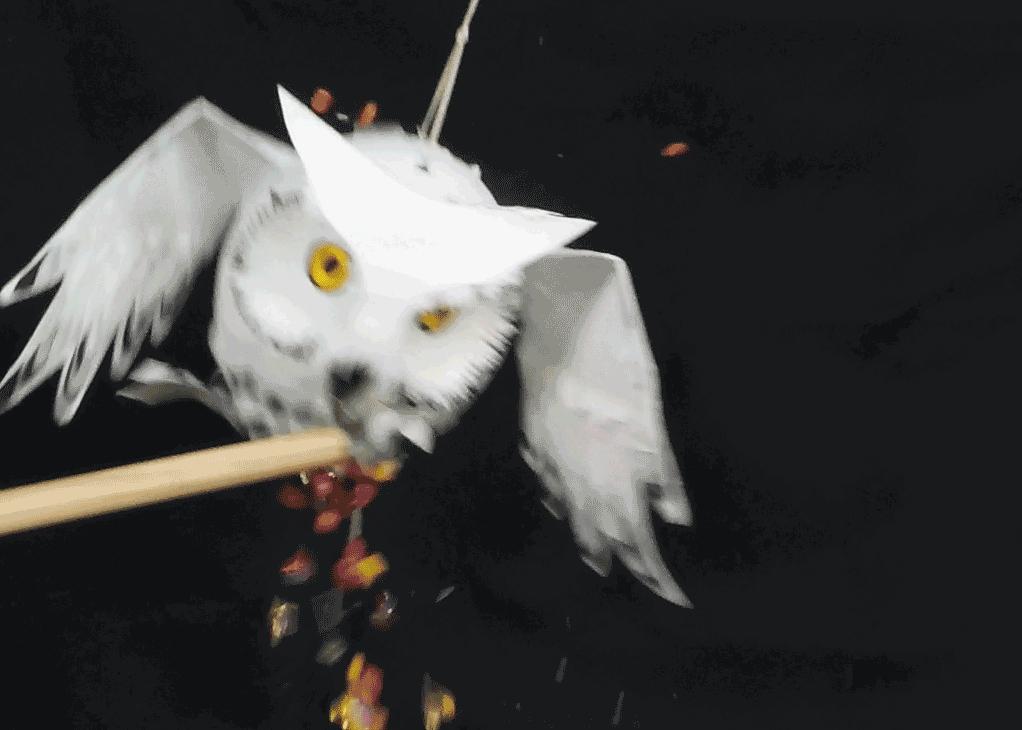 猫头鹰钟表手工制作,猫头鹰树叶手工贴画