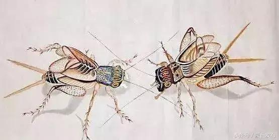 寒露这一天,寒露的前一天好不好