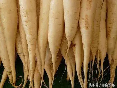 寒露这一天,寒露的前一天好不好