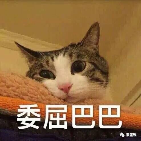 长了脂肪粒该怎么办,头皮长脂肪粒怎么办