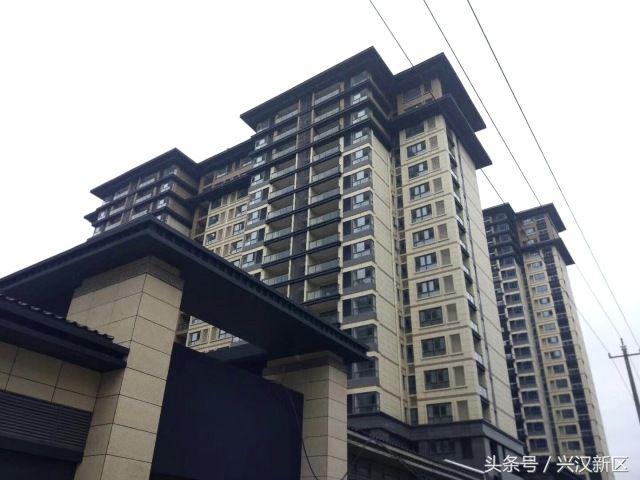 惊！安置区这么美，原来出自他们之手！