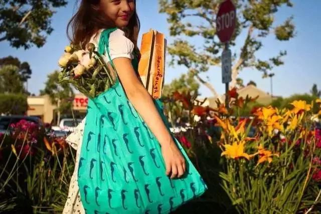 小学生秋游布包,幼儿园秋游布包