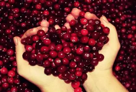 蔓越莓背后的神秘传说,她是个有故事的水果