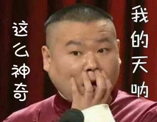 一茶一壶怎么换茶,一壶侍一茶是什么意思