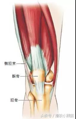 全方位解析,美国专业医生告诉你:膝关节损伤如何识别及自我治疗