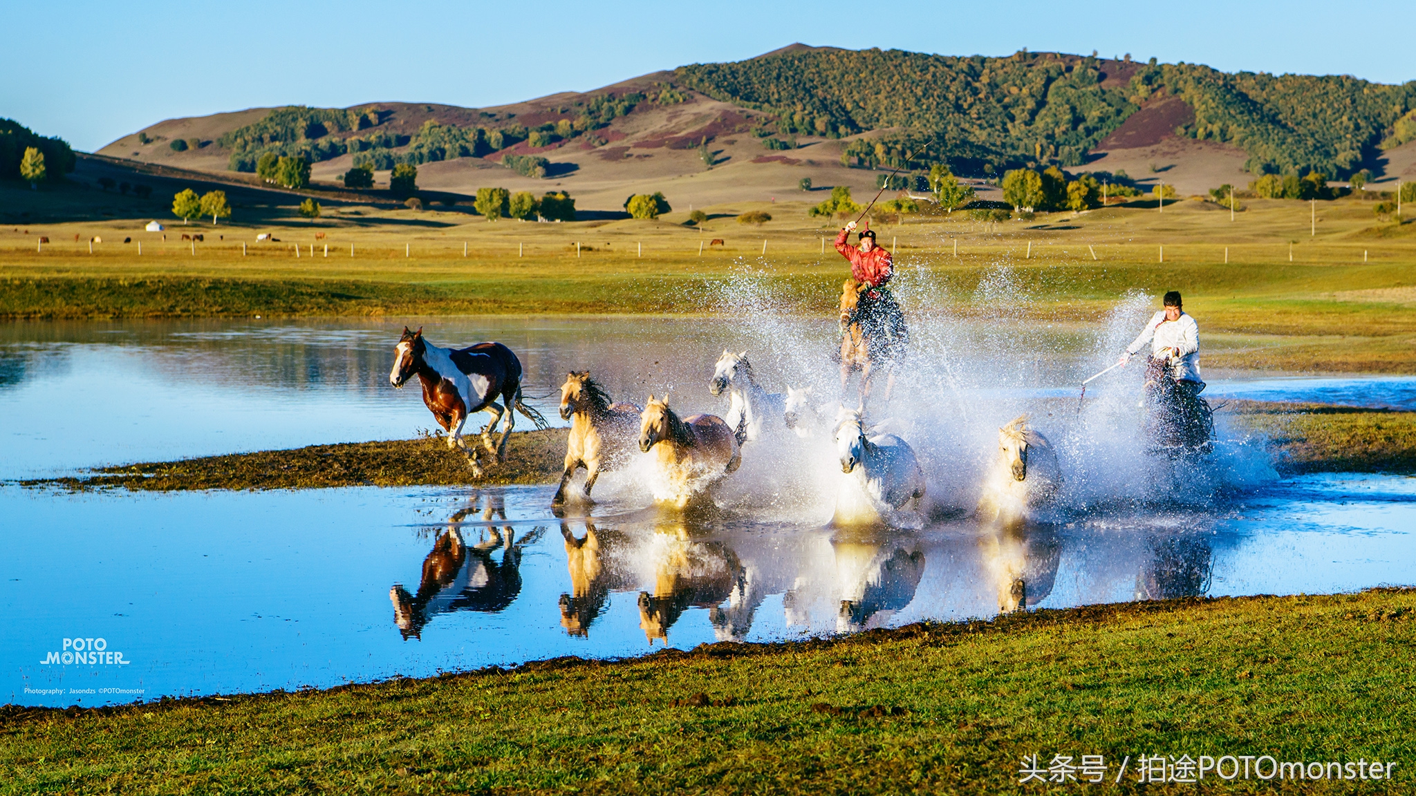 坝上草原奔马摄影作品,坝上草原拍奔马