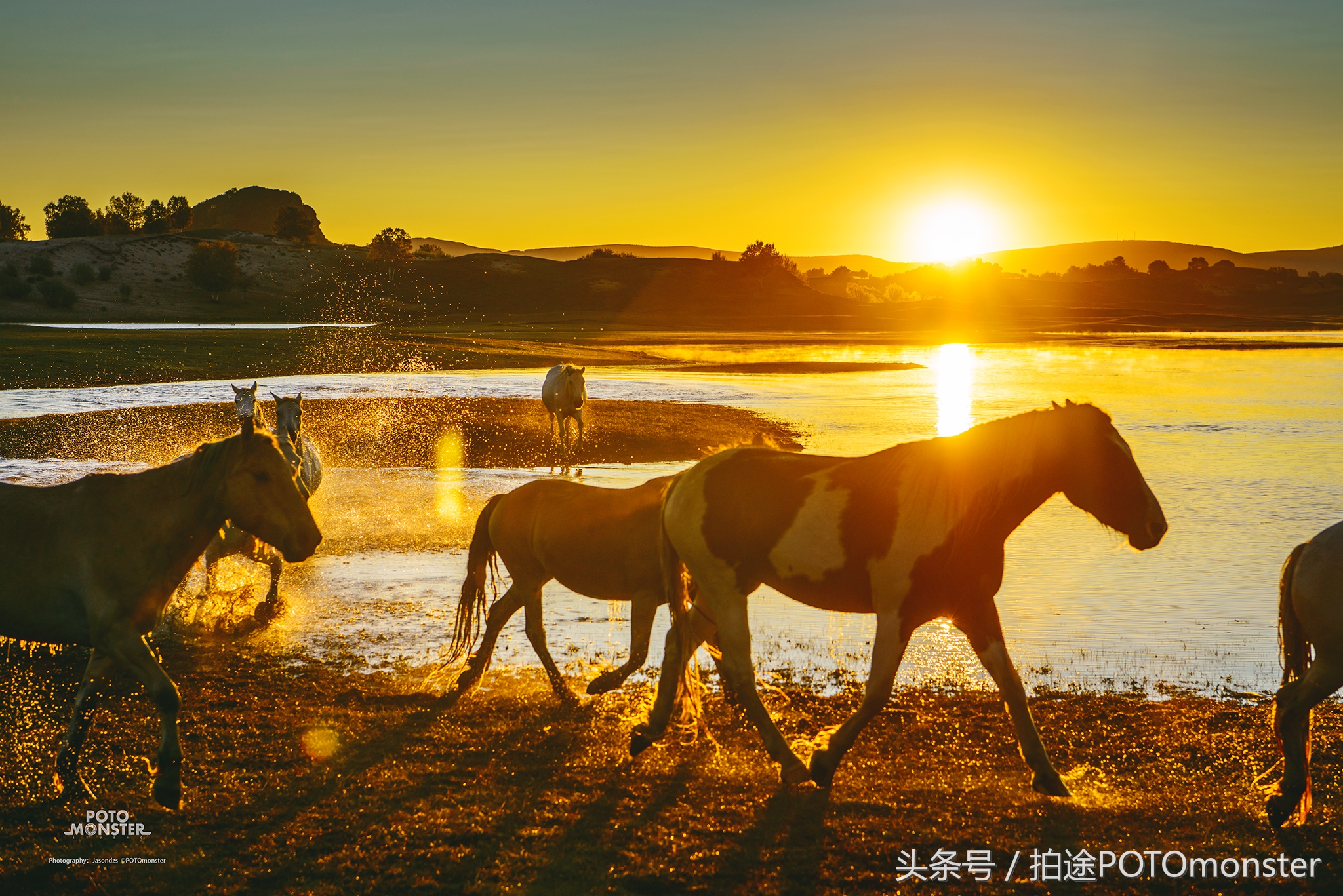 坝上草原奔马摄影作品,坝上草原拍奔马