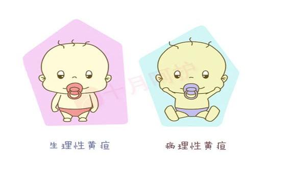 宝宝有黄疸怎么办用什么方法,宝宝有黄疸应该怎样治疗