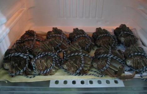 螃蟹有哪个步骤不能吃,螃蟹的有哪一些部分不能吃