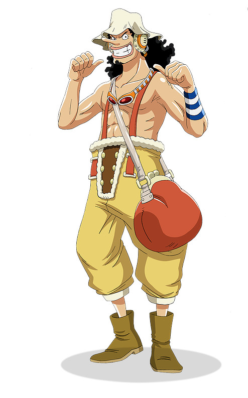 海贼王9人名字,海贼王九位成员是谁