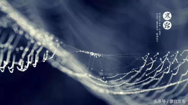 寒露这一天,寒露的前一天好不好