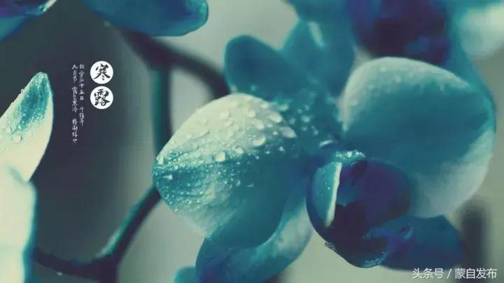 寒露这一天,寒露的前一天好不好