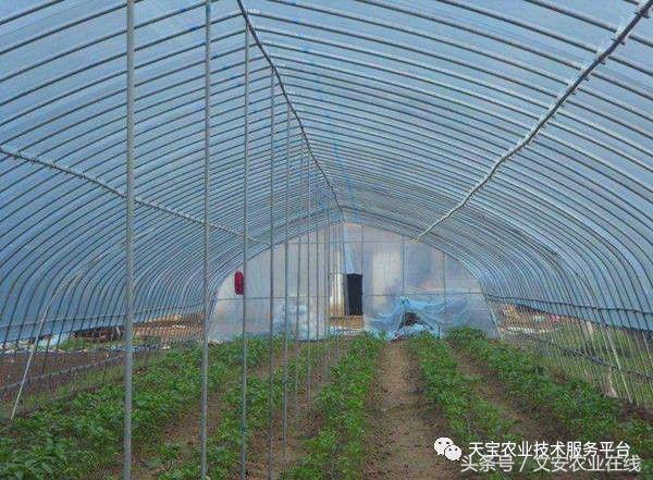 180米长14米宽温室大棚造价多少,温室大棚建造每平米价格