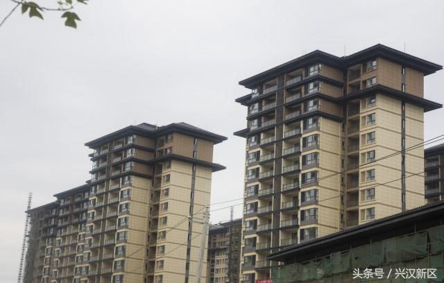 惊！安置区这么美，原来出自他们之手！