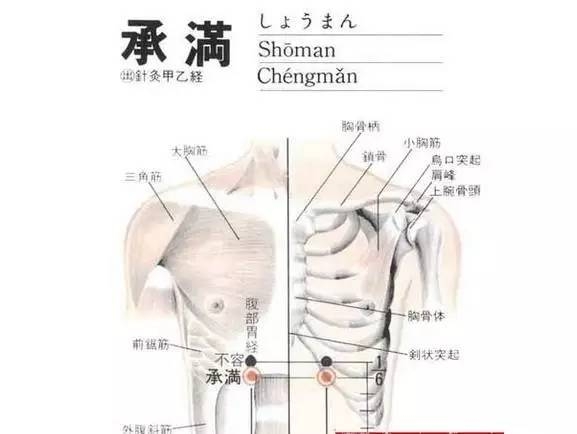 董氏奇穴治疗胃堵的穴位,哪个穴位是治胃特效穴位图