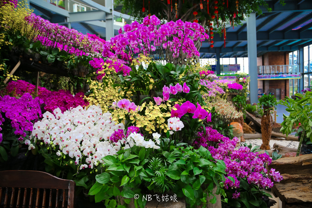 南通适合亲子游玩的园区,南通绿博园旁边游玩的地方