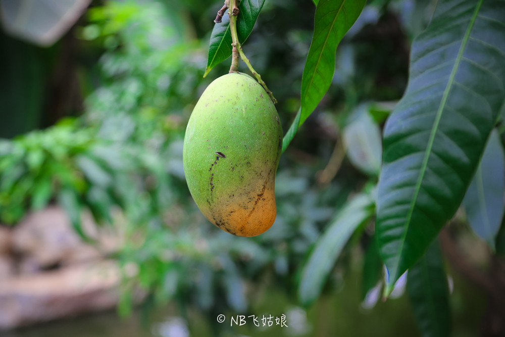 南通适合亲子游玩的园区,南通绿博园旁边游玩的地方