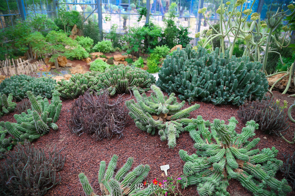 南通适合亲子游玩的园区,南通绿博园旁边游玩的地方