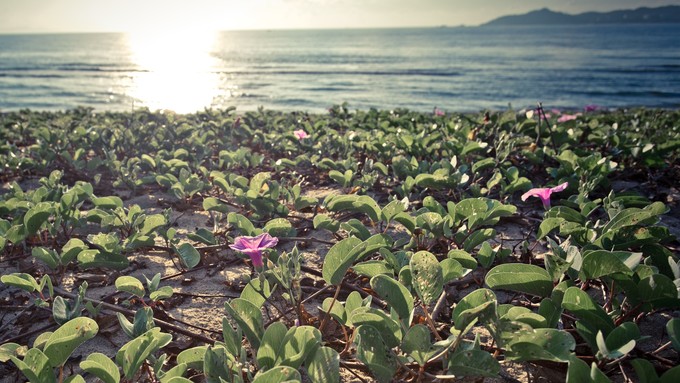 带孩子自由行三亚旅游攻略,带着宝宝重游西安