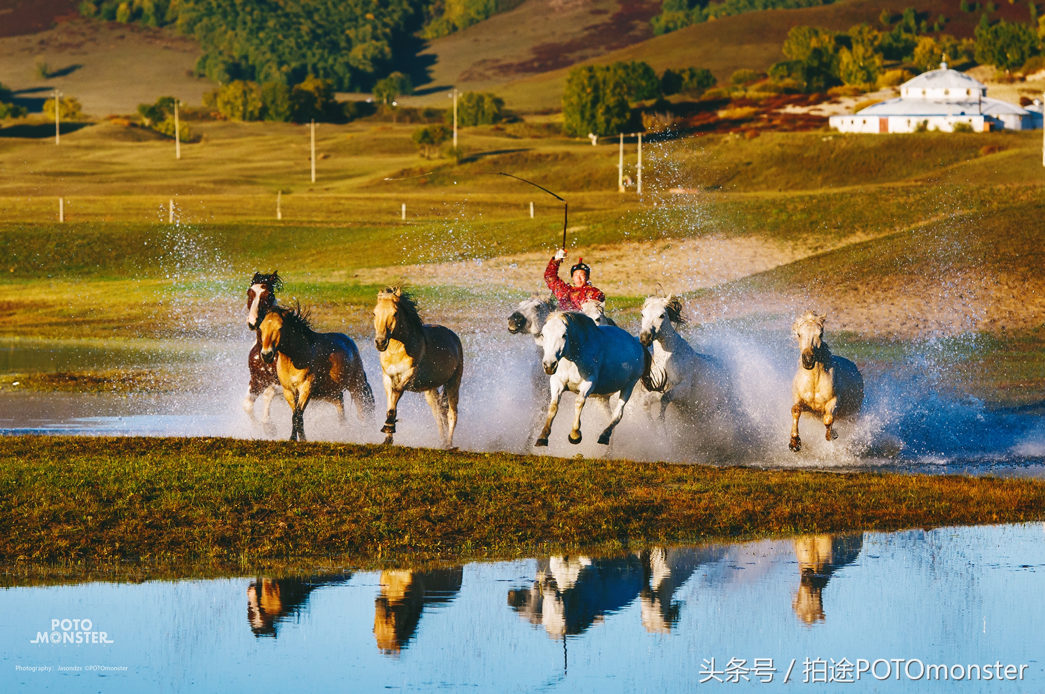 坝上草原奔马摄影作品,坝上草原拍奔马