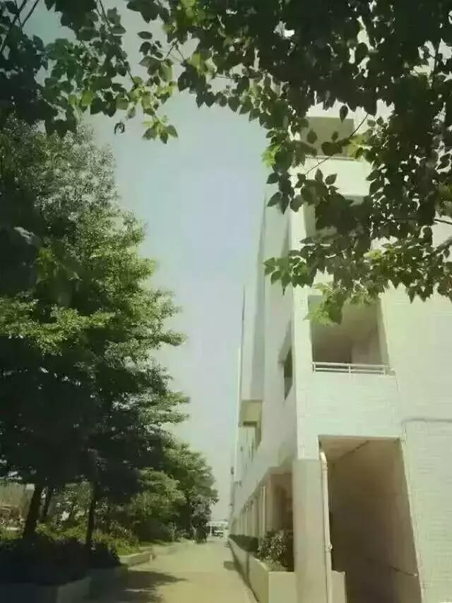 全国十大最美中学,亚洲最美中学