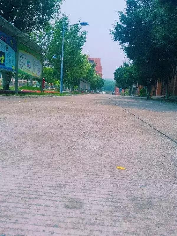 全国十大最美中学,亚洲最美中学