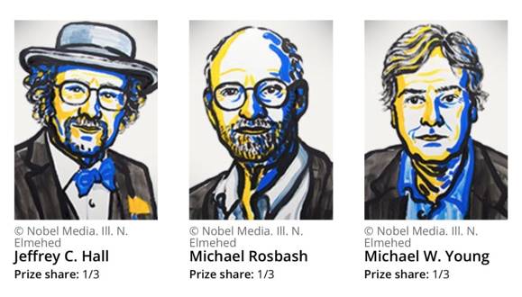 蓝绿细菌的生物钟，“另类”还是“先驱”？｜迷上生物钟（2）