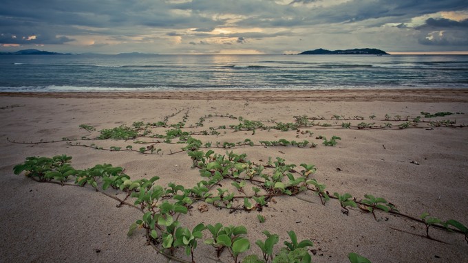 带孩子自由行三亚旅游攻略,带着宝宝重游西安