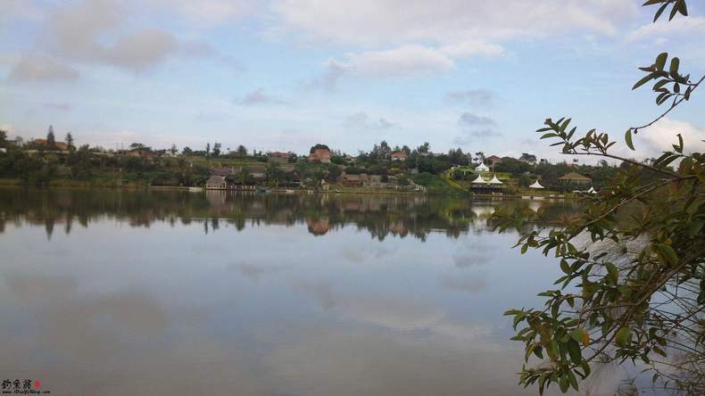 钓鲤鱼高手经验,钓鲶鱼最厉害的人