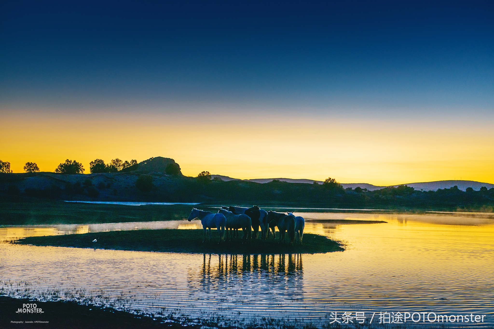 坝上草原奔马摄影作品,坝上草原拍奔马