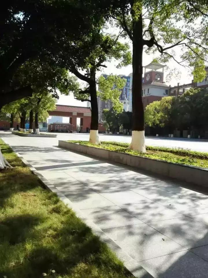 广州最美国际学校,广州最好的外国语学校