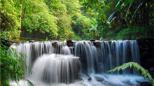 广东怀集县龙岩洞著名景点,广东溶洞旅游攻略大全