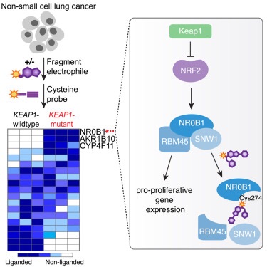 癌症靶向治疗花多少钱,免疫加靶向治疗癌症