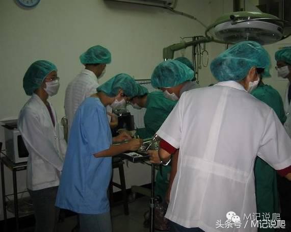 苏卡达陆龟乌龟卡脖子,苏卡达陆龟下颚裂开