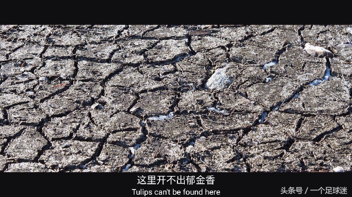 罗本2010世界杯荷兰为什么输,世界杯荷兰被淘汰流泪的瞬间