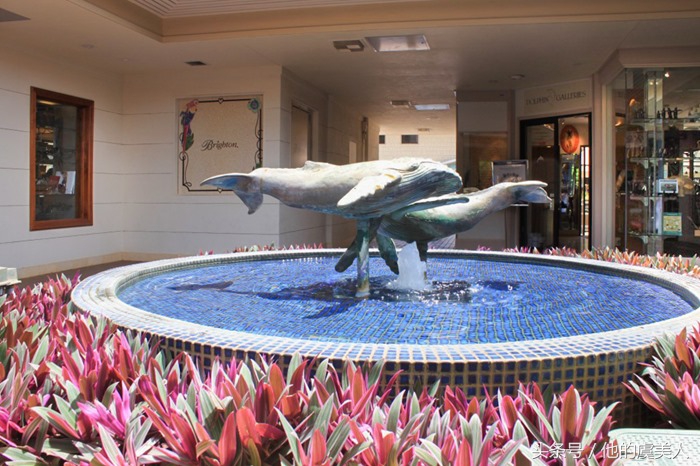 夏威夷旅游及购物攻略视频讲解,夏威夷购物必去十大地点