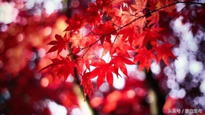 寒露这一天,寒露的前一天好不好