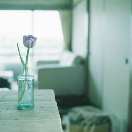 牵手一次能走到白头到老,牵手就能走到白头该多好