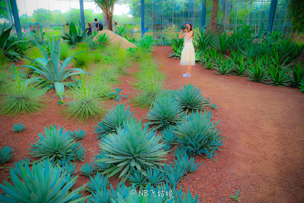 南通适合亲子游玩的园区,南通绿博园旁边游玩的地方