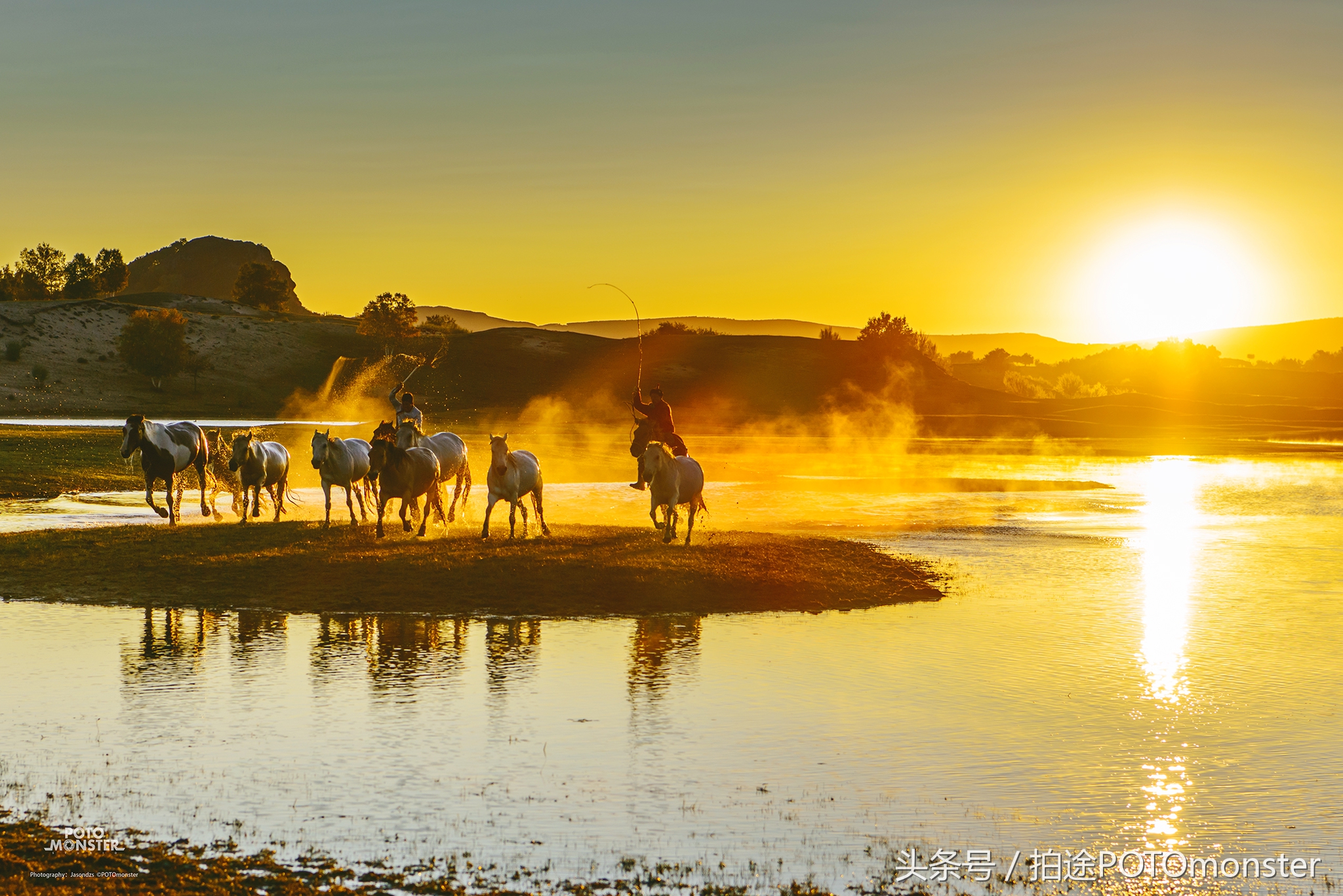坝上草原奔马摄影作品,坝上草原拍奔马