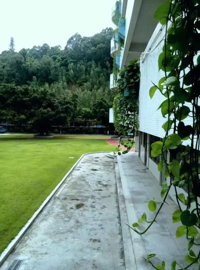 全国十大最美中学,亚洲最美中学