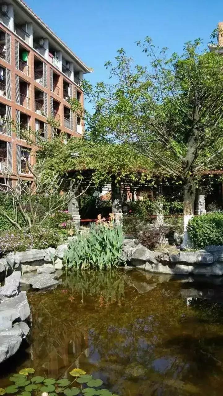 广州最美国际学校,广州最好的外国语学校