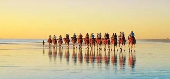 出国自由行签证攻略,在海外怎么办理旅游签证