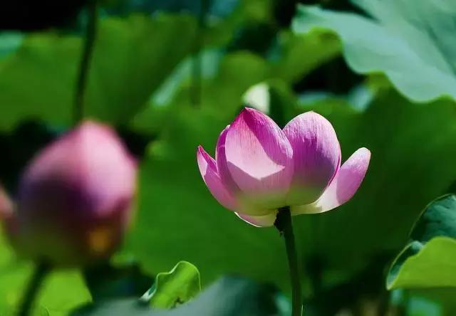 对不起成都，我只能给你90分！