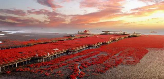 大连到沈阳途经哪些城市自驾,大连至长春自驾多少公里
