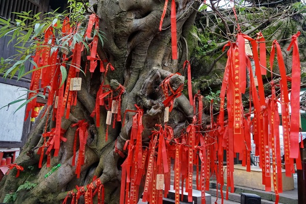 邛崃平乐古镇,邛崃市平乐古镇的文化历史